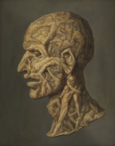 Testa anatomica (Filippo Balbi)