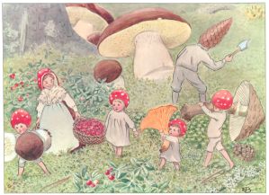 Tomtebobarnen - Elsa Beskow